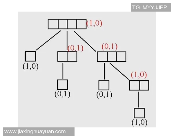 南京足球队个人能力分析与战术应用的深度探讨